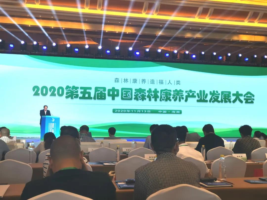 喜報！江油竇圌山景區(qū)榮獲“全國森林康養(yǎng)基地試點建設(shè)單位”稱號！